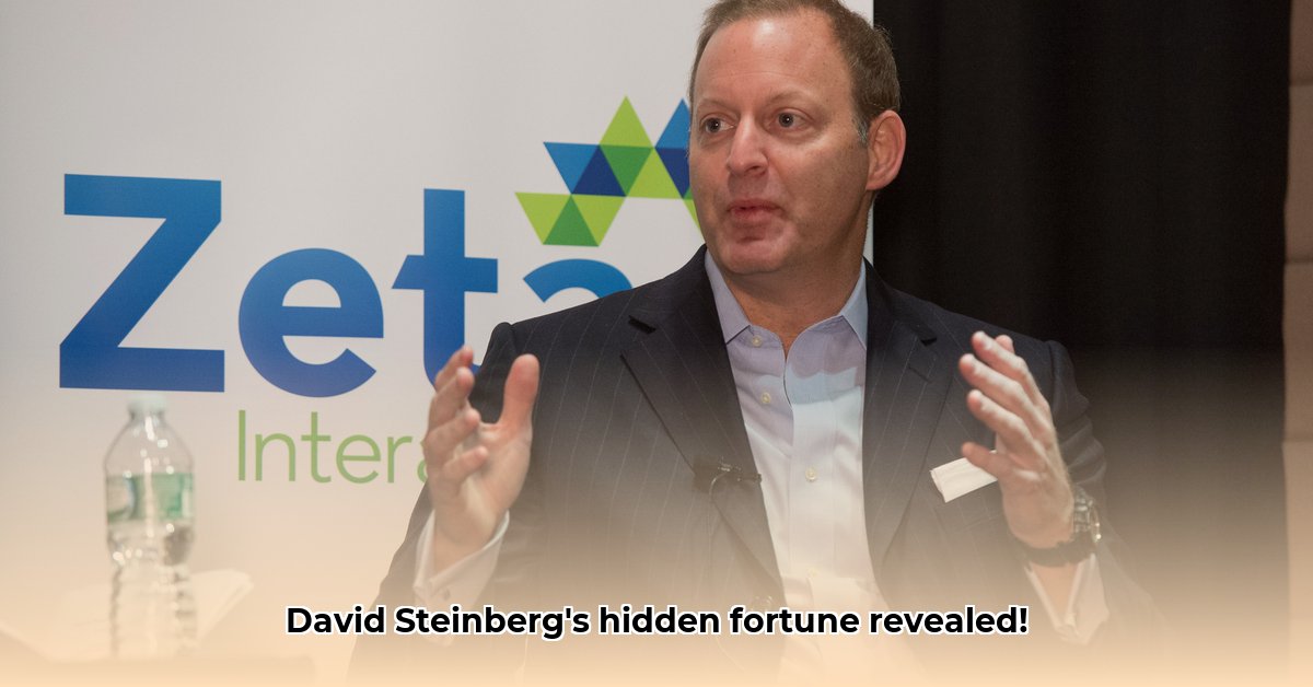 david-steinberg-net-worth